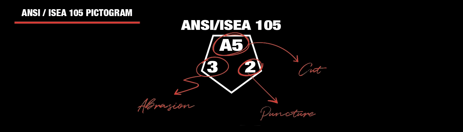 ANSI-ISEA-105-2024-icoon-pentagon