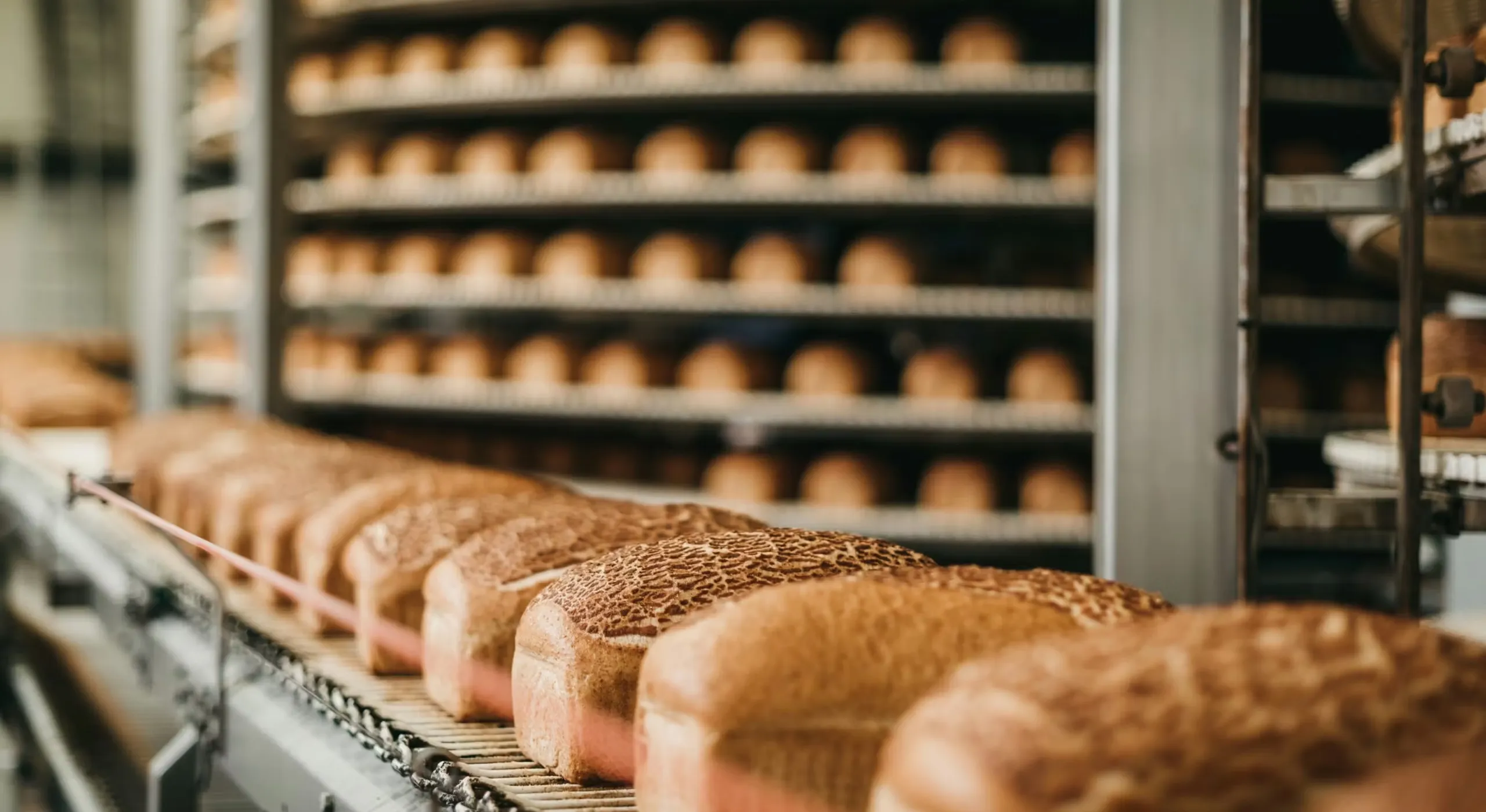 Borgesius-industriele-bakkerij-brood-proces-2560x1400.webp