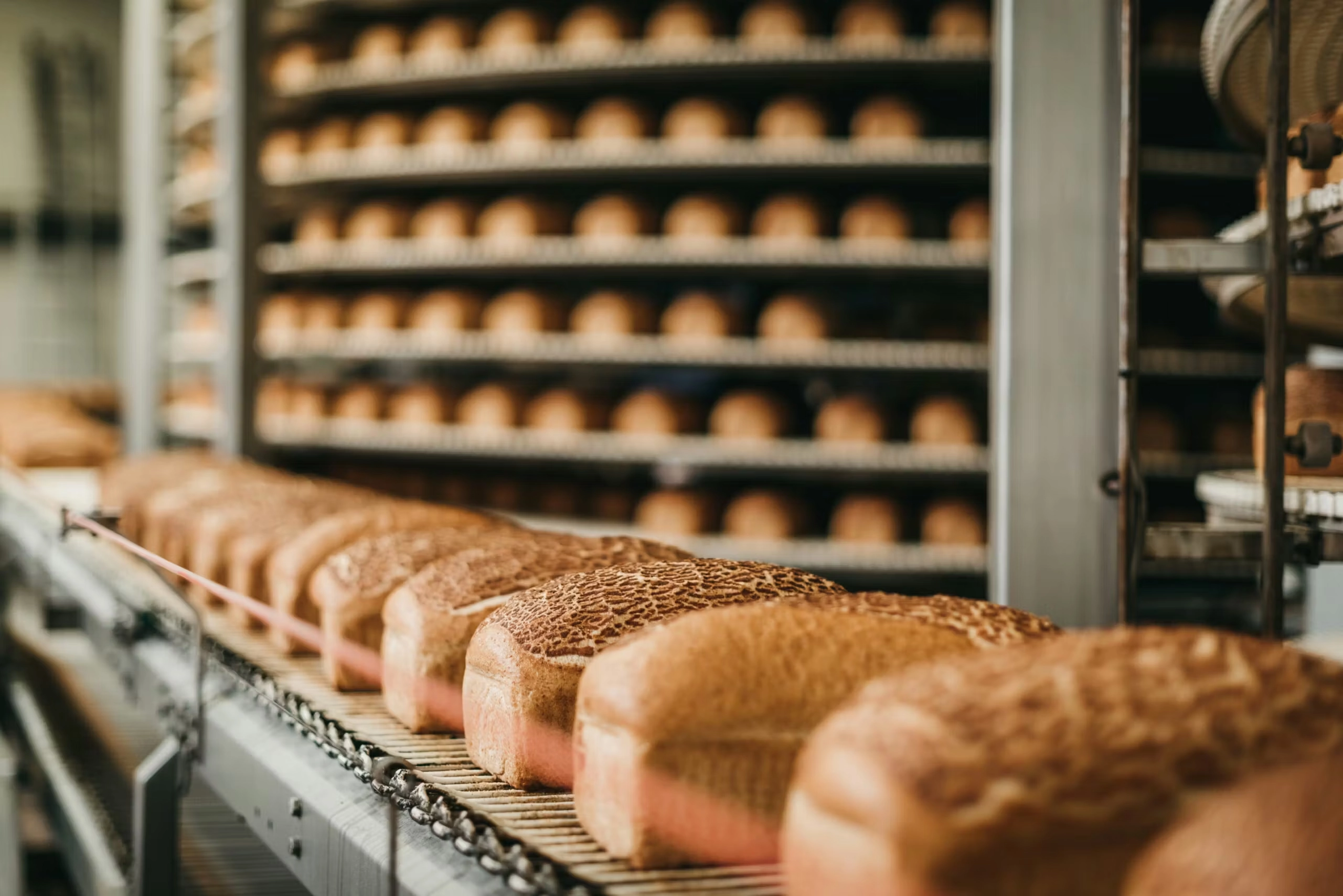 Borgesius-industriele-bakkerij-brood-proces.webp