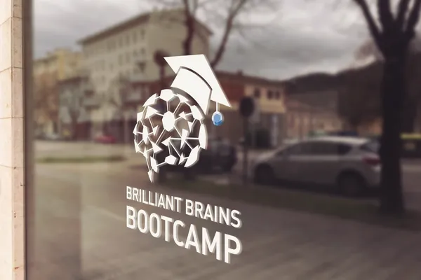 Brilliant Brains Bootcamp: training en e-learning