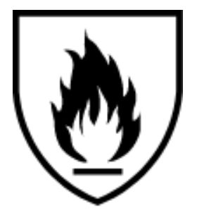 EN 407-2020 vlam pictogram
