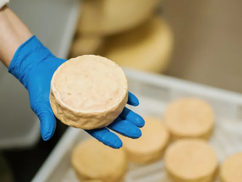 Food grade handschoenen geschikt voor direct contact met voedingsmiddelen