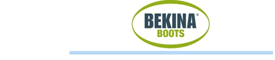Bekina logo met blauwe streep