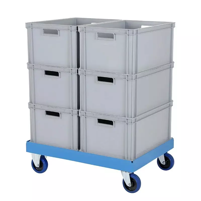 Kunststof onderstel gegalvaniseerde gaffels 800x600 mm blauw