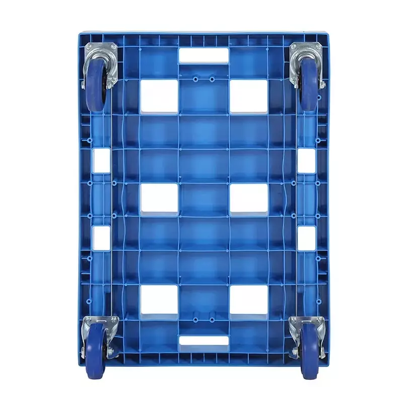 Kunststof onderstel gegalvaniseerde gaffels 800x600 mm blauw