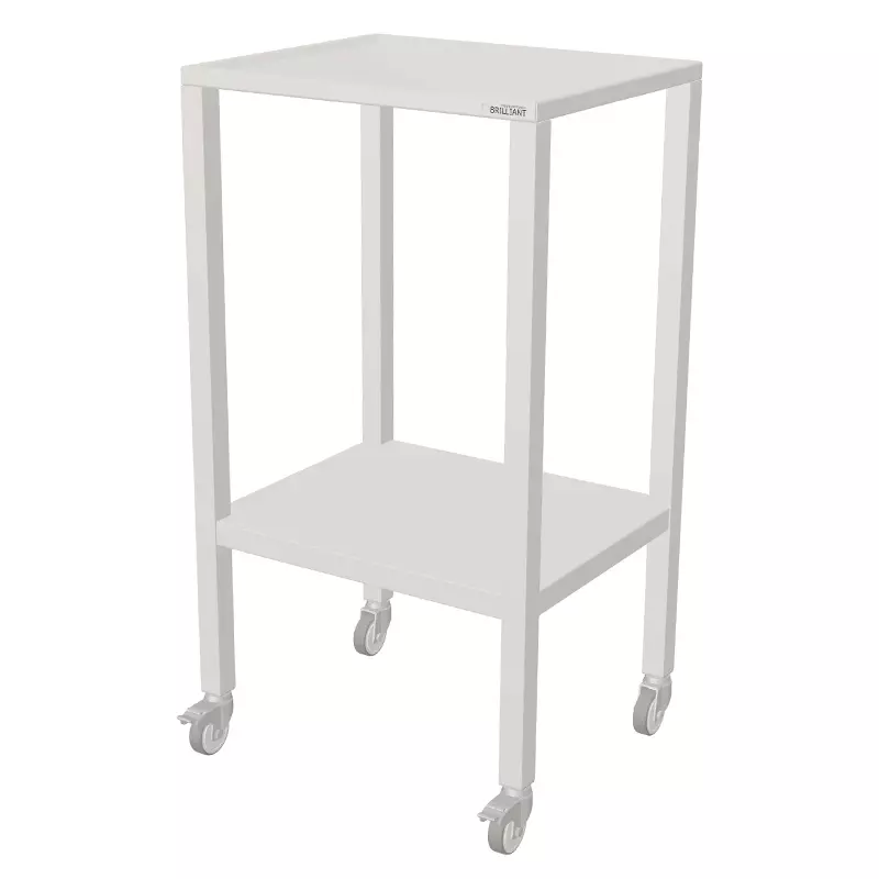Lessenaar RVS op zwenkwielen 599x495x1100 mm