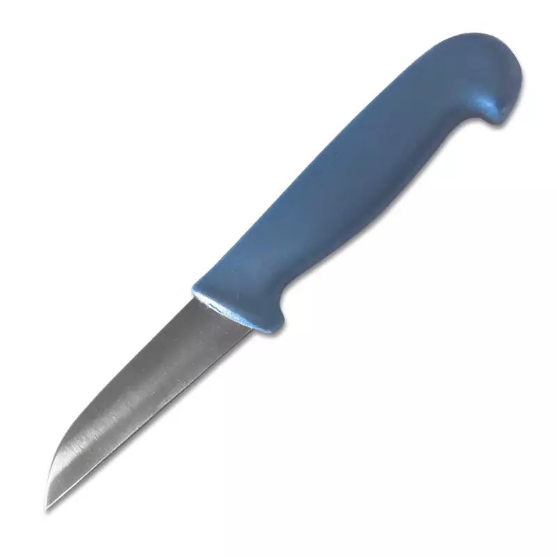 Groentemes detecteerbaar recht lemmet 9 cm blauw