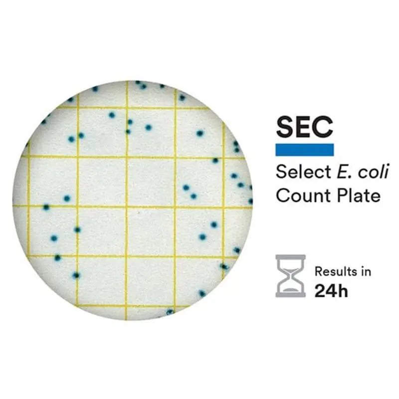 NEOGEN 6434 Petrifilm Select E.coli telplaat 50 stuks