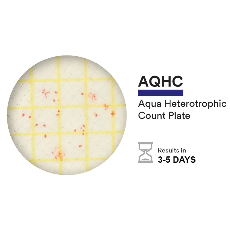 NEOGEN 6450 Petrifilm Aqua Heterotrophic telplaat 100 stuks