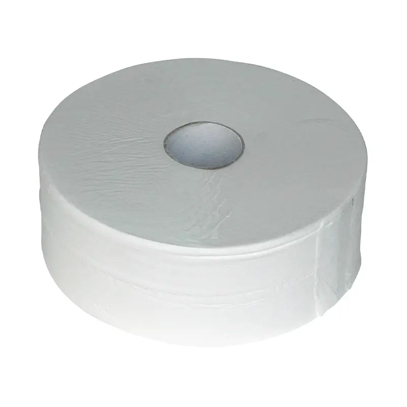 Euro Products toiletpapier Maxi Jumbo 2-laags recycled tissue 380 meter wit