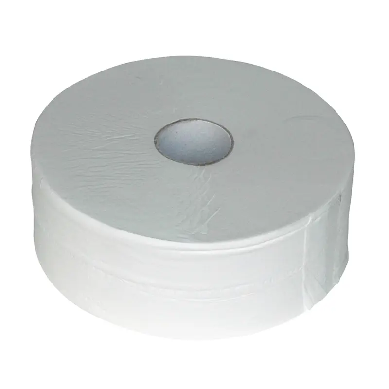 Euro Products toiletpapier Maxi Jumbo cellulose 2-laags 380 meter wit