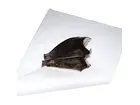 Ersatzpapier voor voedingsmiddelen 42x31 cm wit