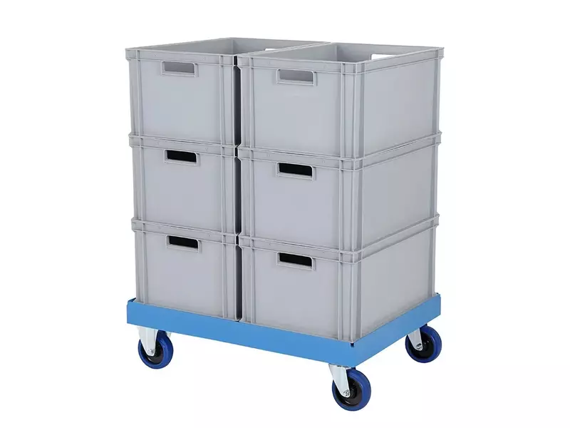 Kunststof onderstel gegalvaniseerde gaffels 800x600 mm blauw