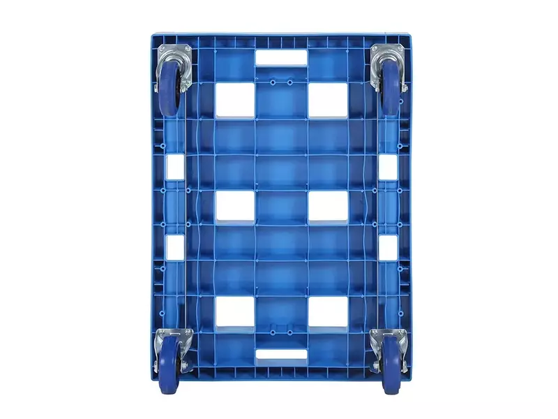 Kunststof onderstel gegalvaniseerde gaffels 800x600 mm blauw