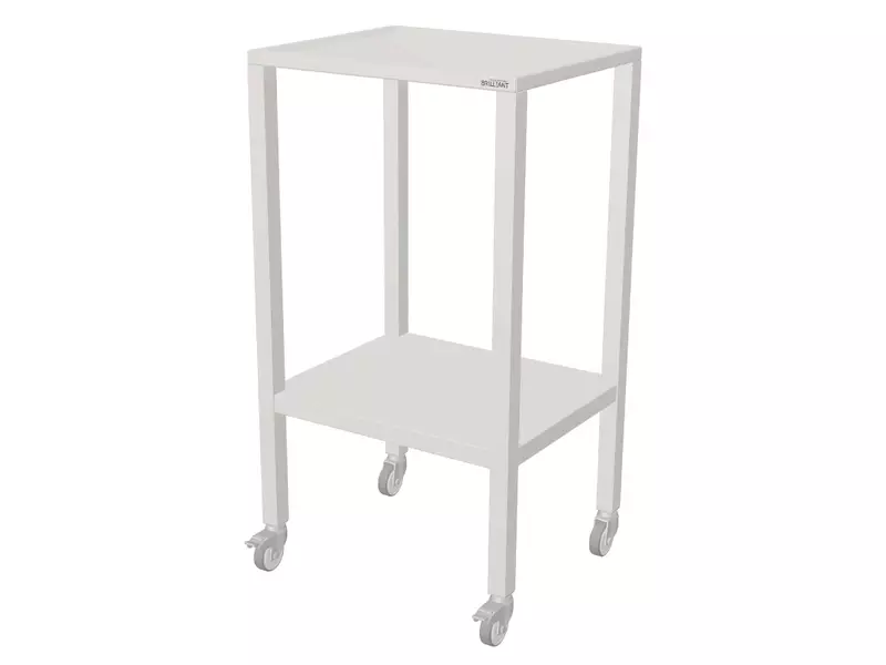 Lessenaar RVS op zwenkwielen 599x495x1100 mm