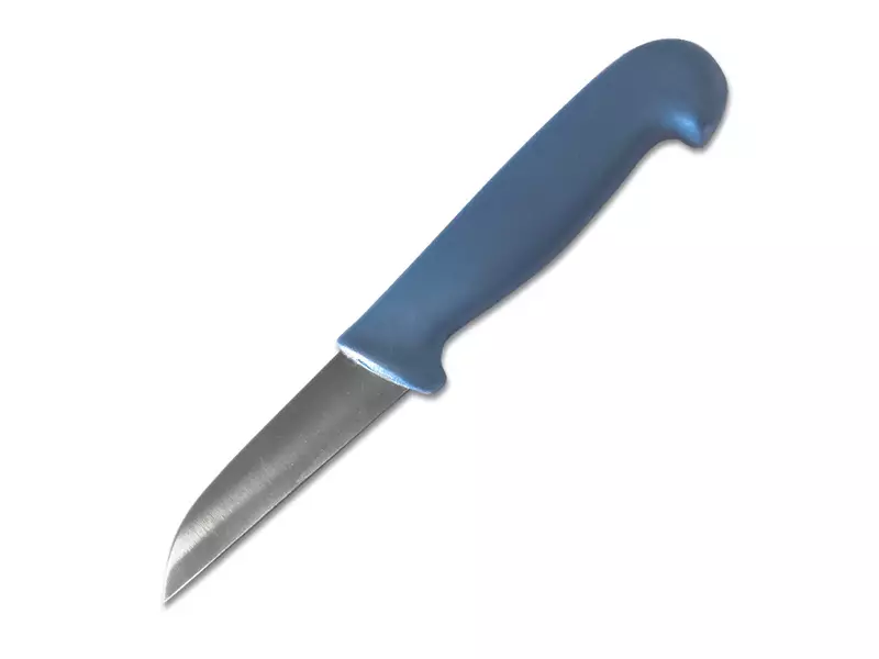 Groentemes detecteerbaar recht lemmet 9 cm blauw