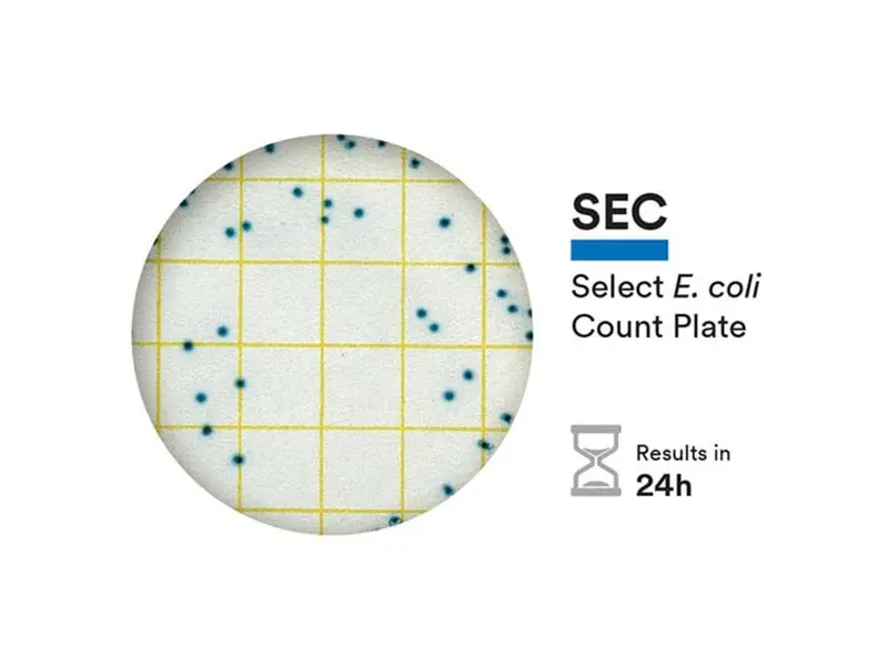 NEOGEN 6434 Petrifilm Select E.coli telplaat 50 stuks