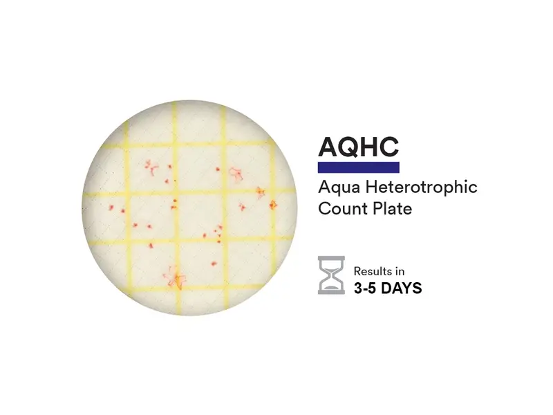 NEOGEN 6450 Petrifilm Aqua Heterotrophic telplaat 100 stuks