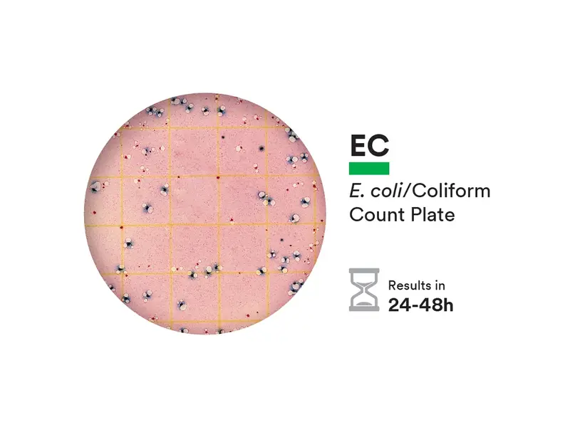 NEOGEN 6404 Petrifilm E.coli & Coliform telplaat 50 stuks