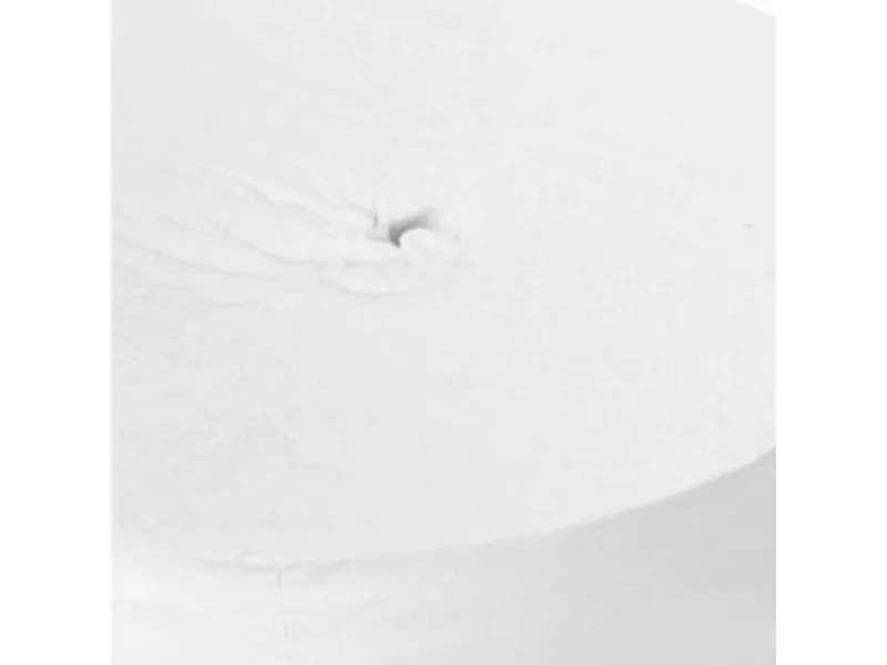 Europroducts toiletpapier coreless eco 2-laags 900 vel wit
