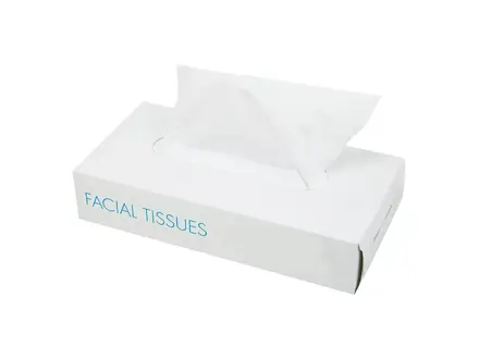 Facial tissues cellulose 2-laags 20x19,5 cm