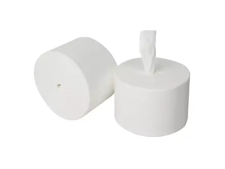 Toiletpapier coreless 2-laags 900 vel wit