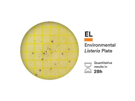 NEOGEN 6447 Petrifilm Environmental Listeria telplaat 50 stuks
