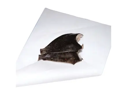 Ersatzpapier voor voedingsmiddelen 42x31 cm wit